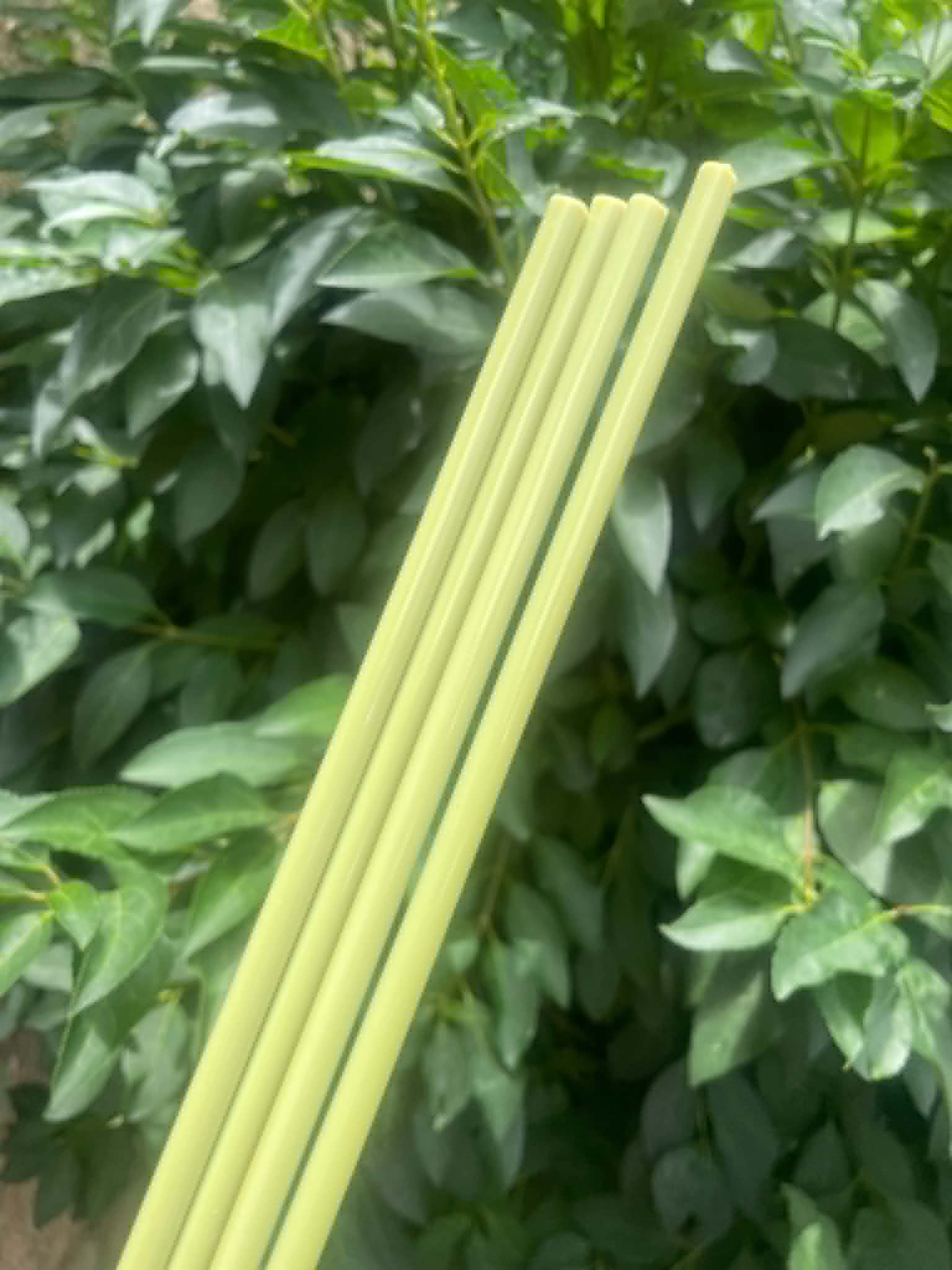 e628e640-154f-46fd-ba33-1182e5da20a1