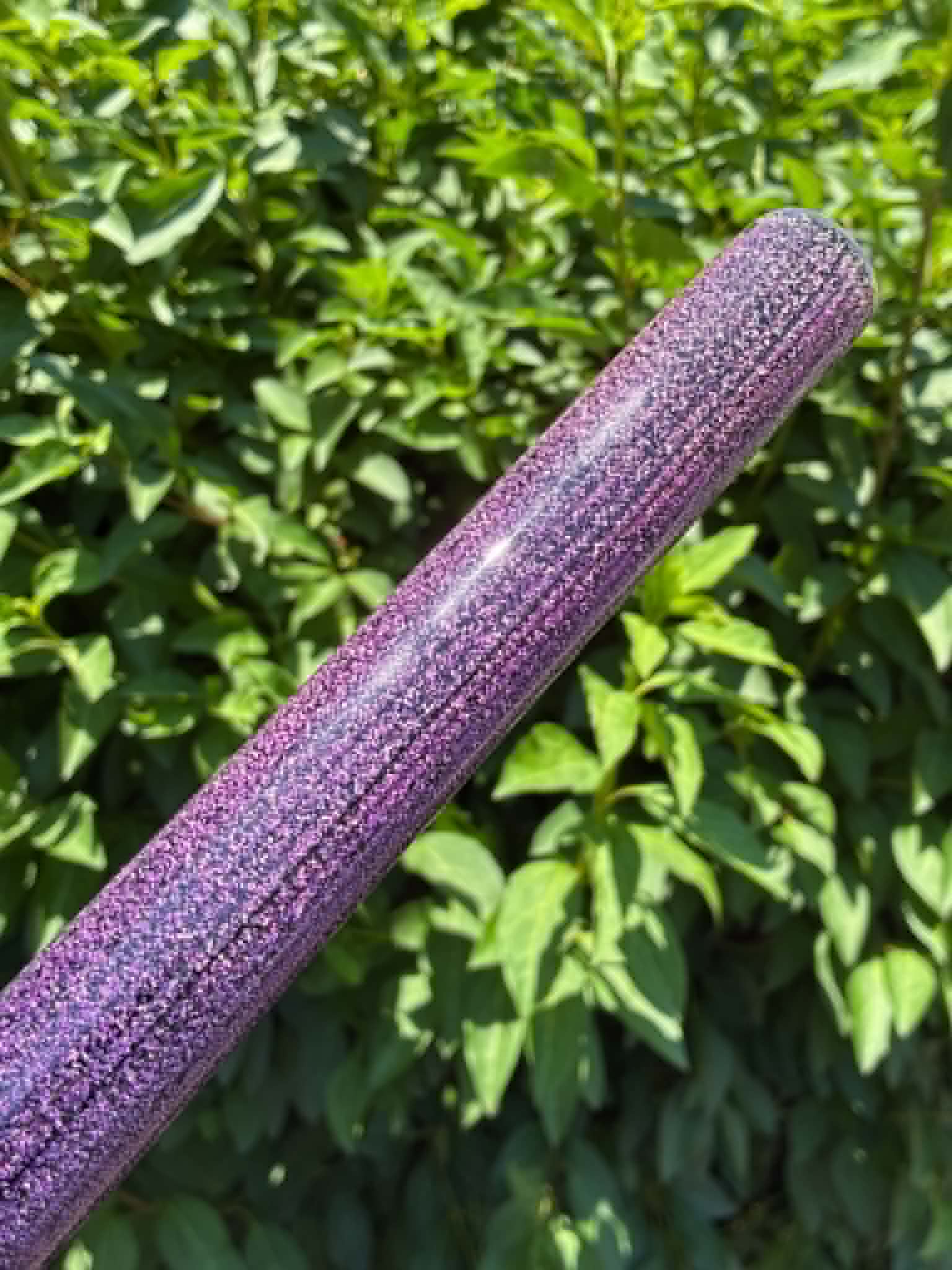Purple on Black .48